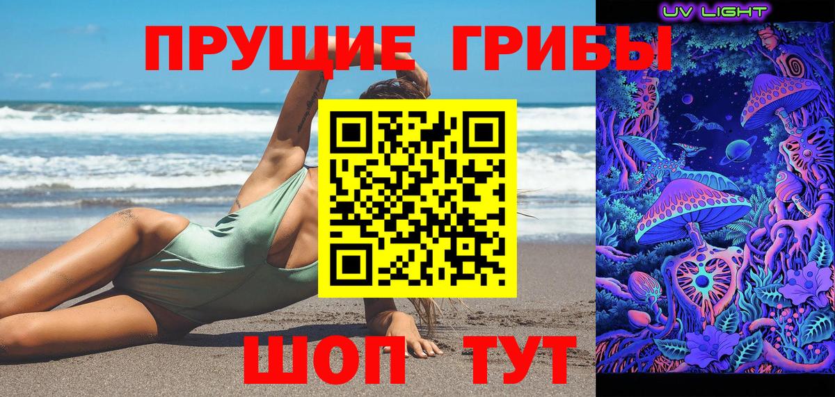 Псилоцибиновые грибы Psilocybe  хочу наркоту  Вход с VPN  Заводоуковск  Галлюциногенные грибы мухоморы 